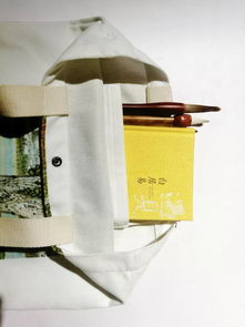 王建鋒繪畫藝術衍生品與亮寶樓文創 藝術與商業的完美融合