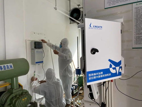 春節堅守，步履不停 桂城企業20名員工的崗位與數據處理服務